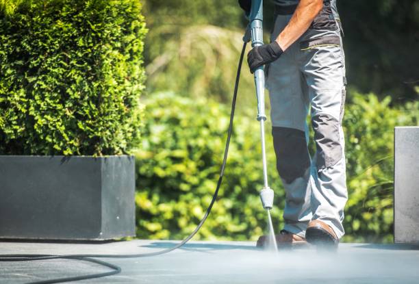 Best Fence Cleaning and Maintenance in Federalsburg, MD