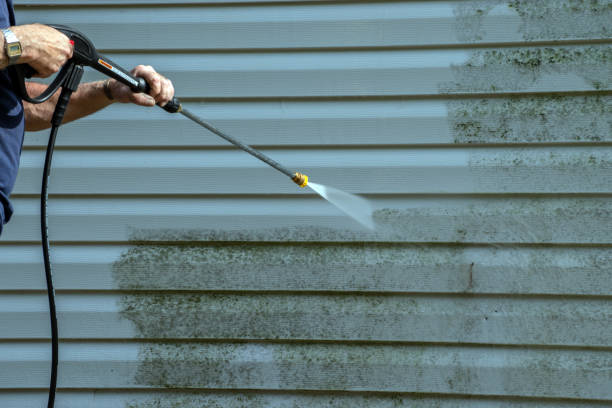 Best Roof Cleaning and Mildew Removal in Federalsburg, MD