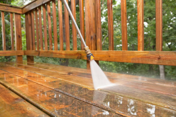 Best Soft Washing for Delicate Surfaces in Federalsburg, MD